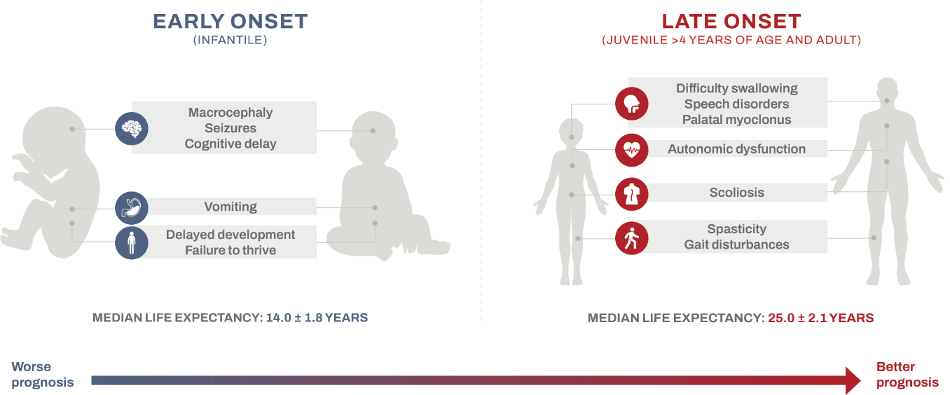 Chart depicting Alexanders disease symptoms with early onset on the left, and late onset on the right. [102]