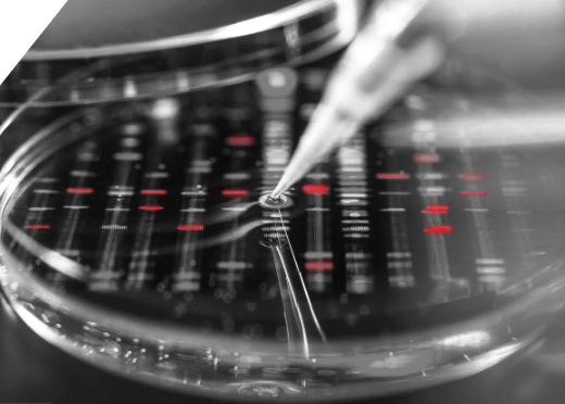 DNA sequences appear under a Petri dish with a syringe in the middle. [69]